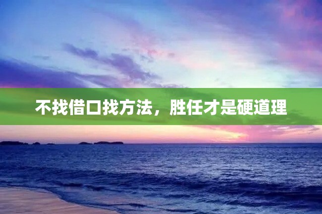 不找借口找方法,胜任才是硬道理