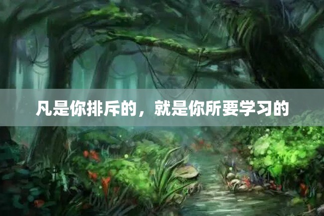 凡是你排斥的,就是你所要学习的