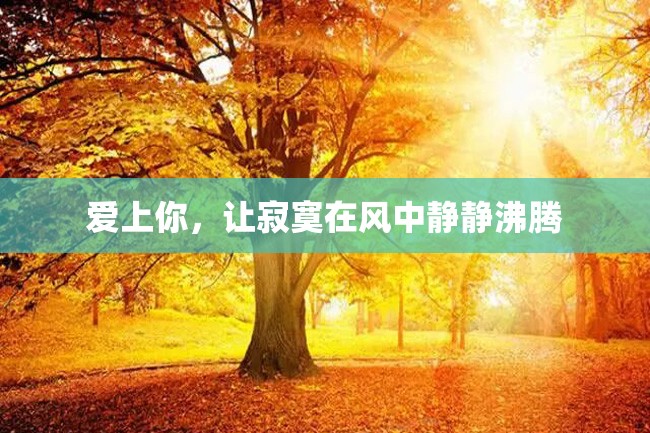 爱上你,让寂寞在风中静静沸腾