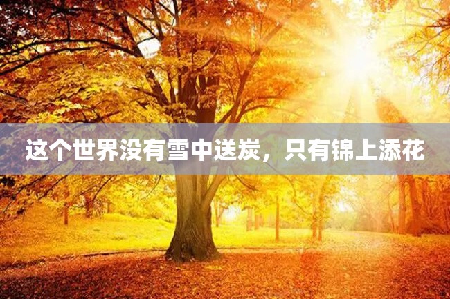 这个世界没有雪中送炭,只有锦上添花
