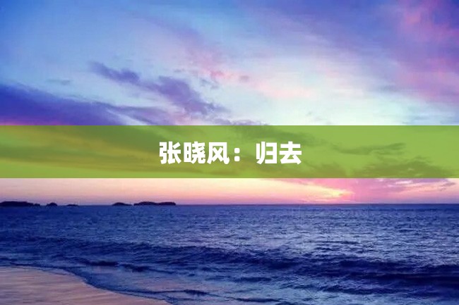 张晓风:归去