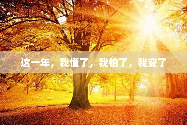 这一年,我懂了,我怕了,我变了