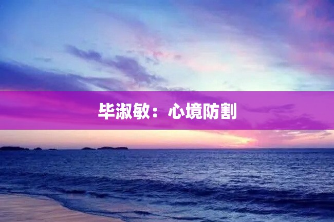 毕淑敏:心境防割