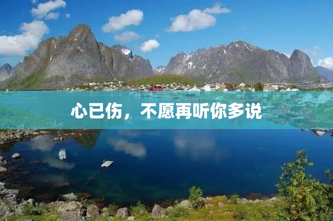 心已伤,不愿再听你多说