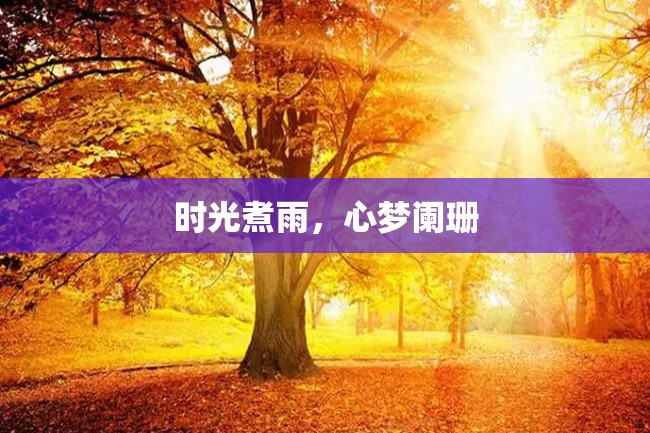 时光煮雨,心梦阑珊
