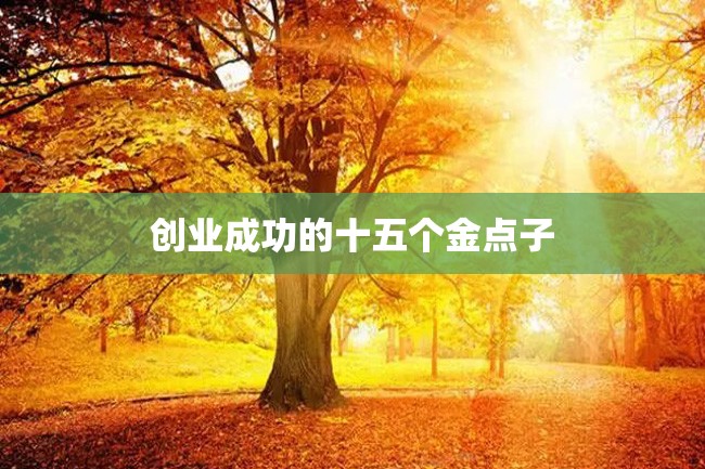 创业成功的十五个金点子