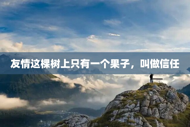 友情这棵树上只有一个果子,叫做信任