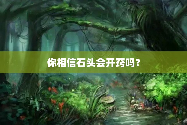 你相信石头会开窍吗?