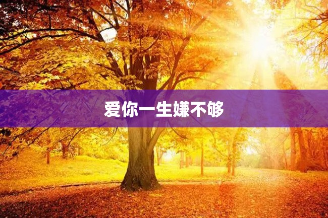 爱你一生嫌不够