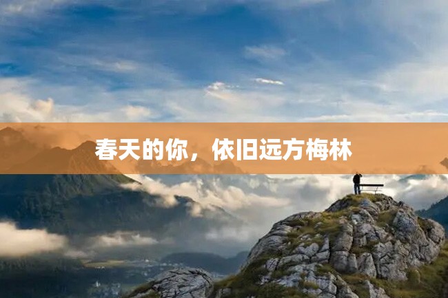 春天的你,依旧远方梅林