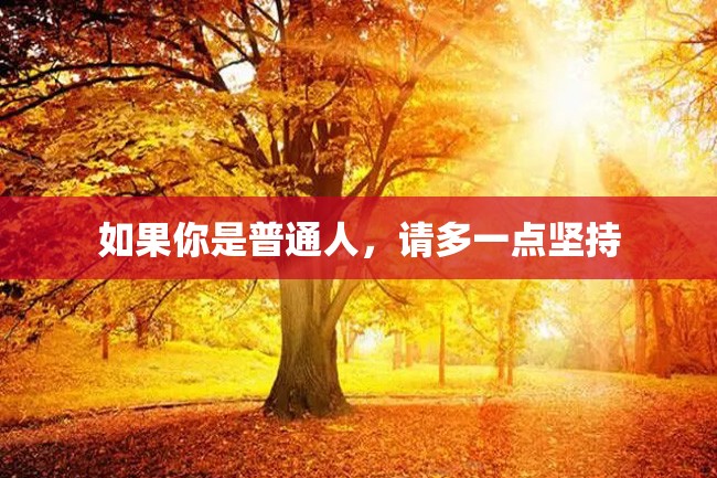 如果你是普通人,请多一点坚持