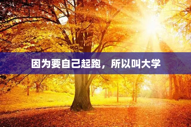 因为要自己起跑,所以叫大学