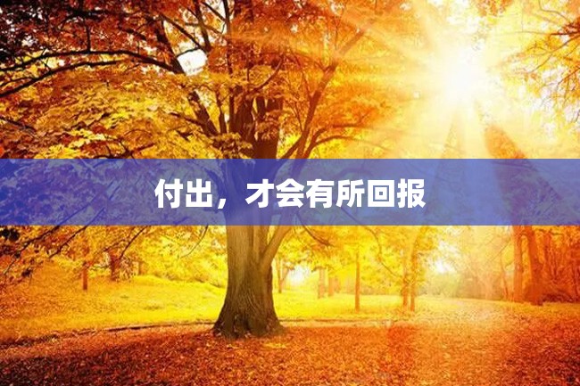 付出,才会有所回报