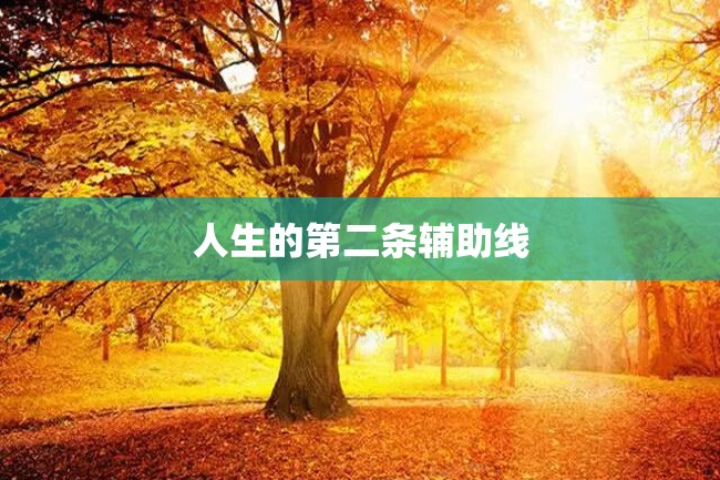 人生的第二条辅助线