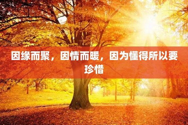 因缘而聚,因情而暖,因为懂得所以要珍惜