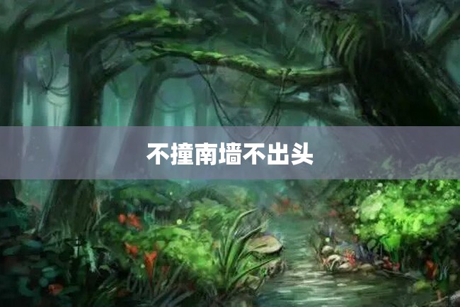 不撞南墙不出头