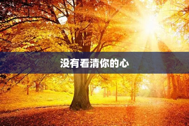 没有看清你的心