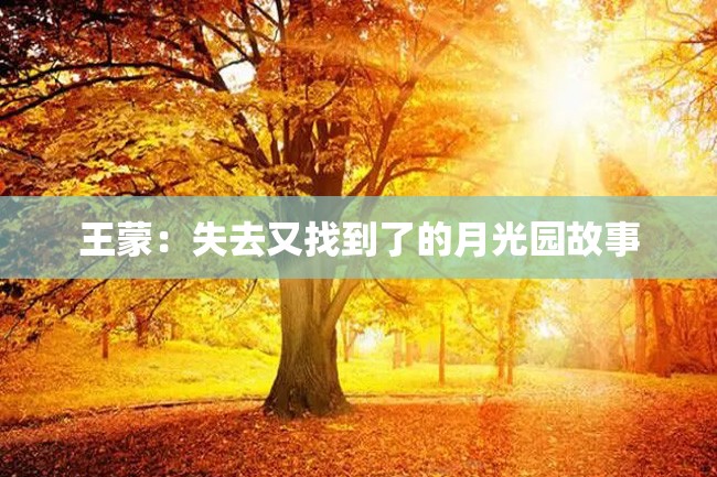 王蒙:失去又找到了的月光园故事