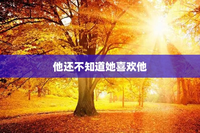 他还不知道她喜欢他