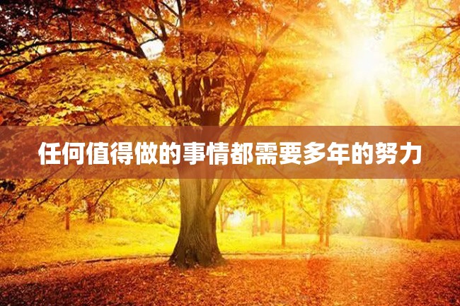 任何值得做的事情都需要多年的努力