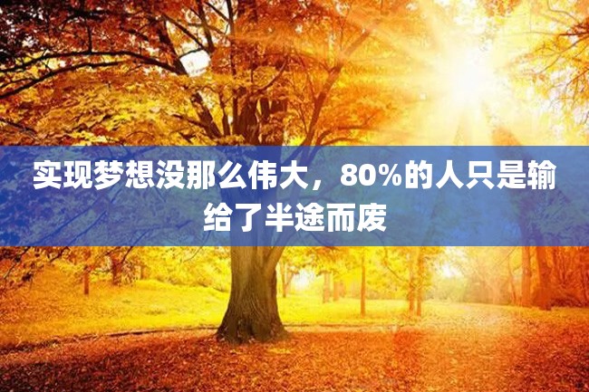 实现梦想没那么伟大,80%的人只是输给了半途而废