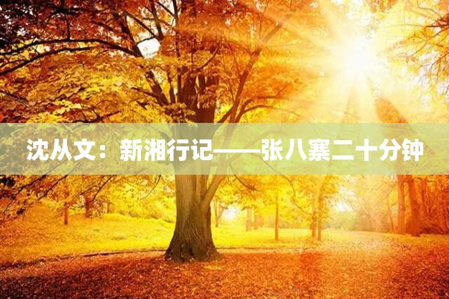 沈从文:新湘行记——张八寨二十分钟