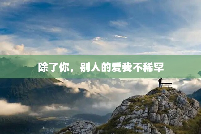除了你,别人的爱我不稀罕