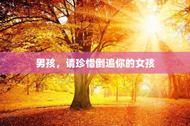男孩,请珍惜倒追你的女孩