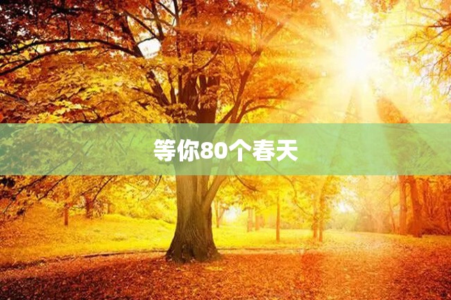 等你80个春天