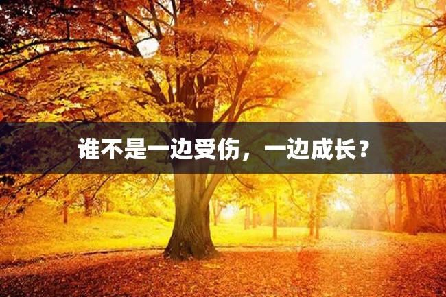 谁不是一边受伤,一边成长?