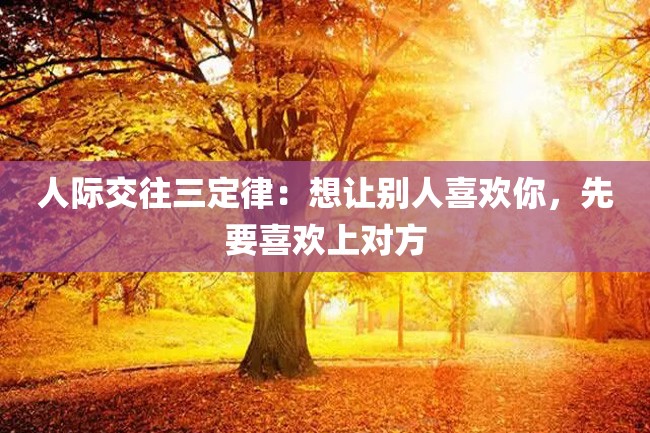 人际交往三定律:想让别人喜欢你,先要喜欢上对方