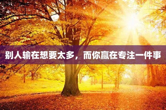 别人输在想要太多,而你赢在专注一件事