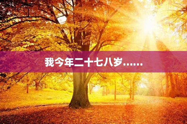 我今年二十七八岁……