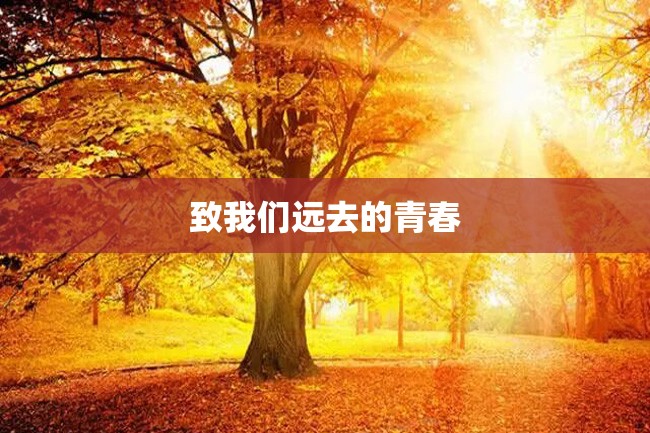 致我们远去的青春