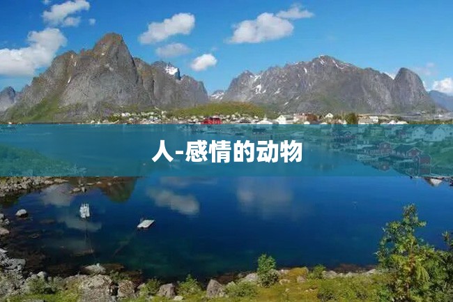 人-感情的动物