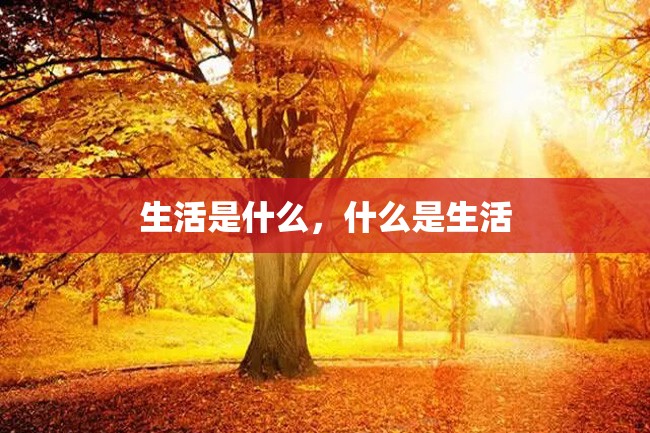 生活是什么,什么是生活