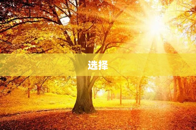 选择