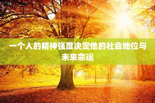 一个人的精神强度决定他的社会地位与未来命运