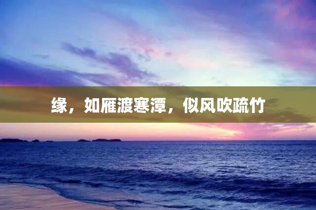 缘,如雁渡寒潭,似风吹疏竹