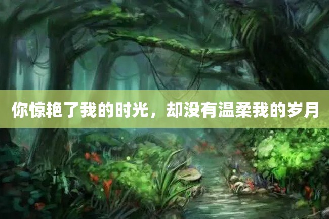 你惊艳了我的时光，却没有温柔我的岁月