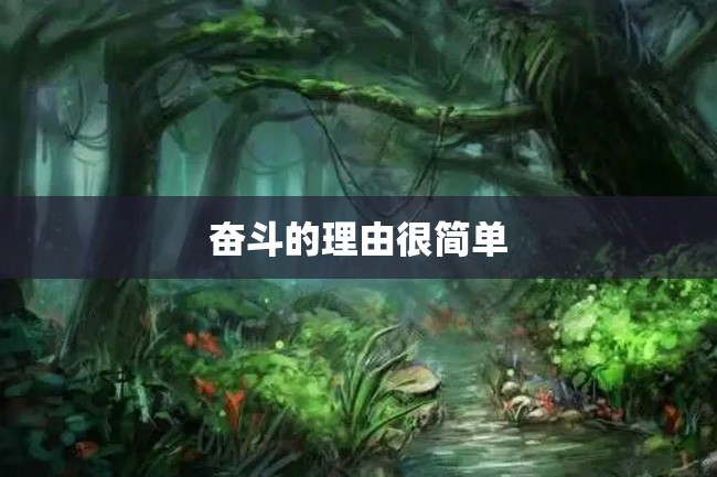 奋斗的理由很简单