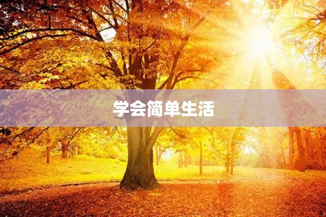 学会简单生活