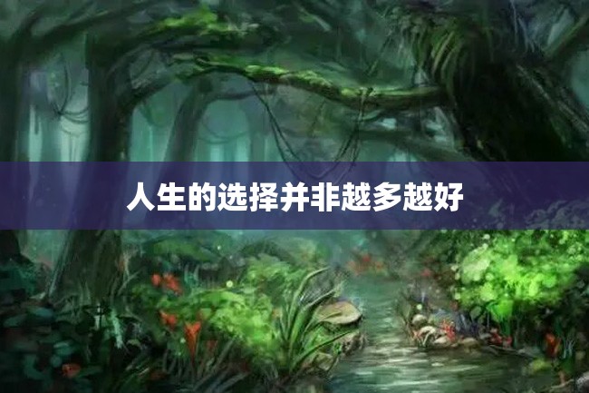 人生的选择并非越多越好