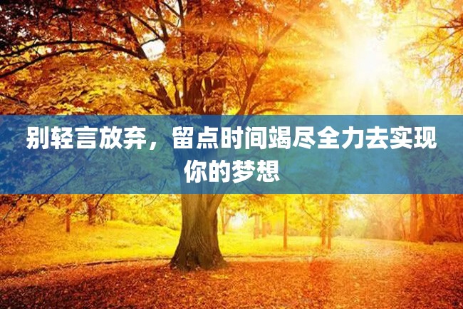 别轻言放弃,留点时间竭尽全力去实现你的梦想