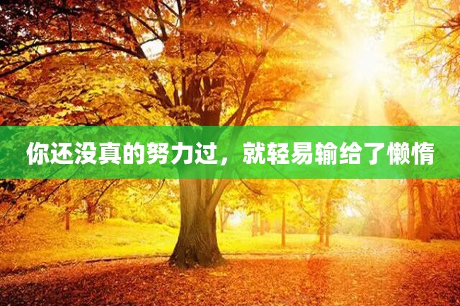 你还没真的努力过,就轻易输给了懒惰