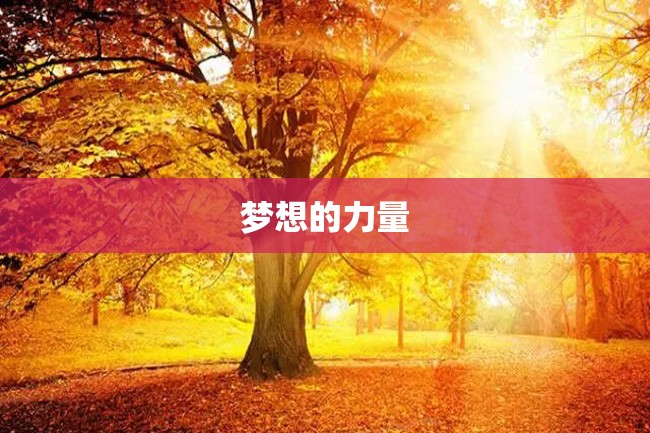 梦想的力量