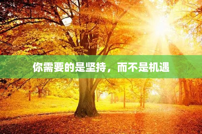 你需要的是坚持,而不是机遇