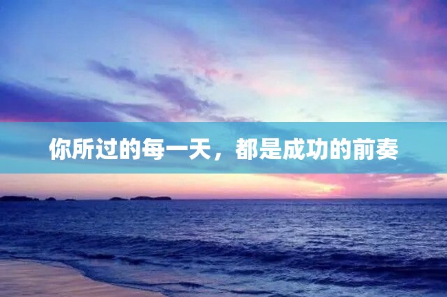 你所过的每一天,都是成功的前奏