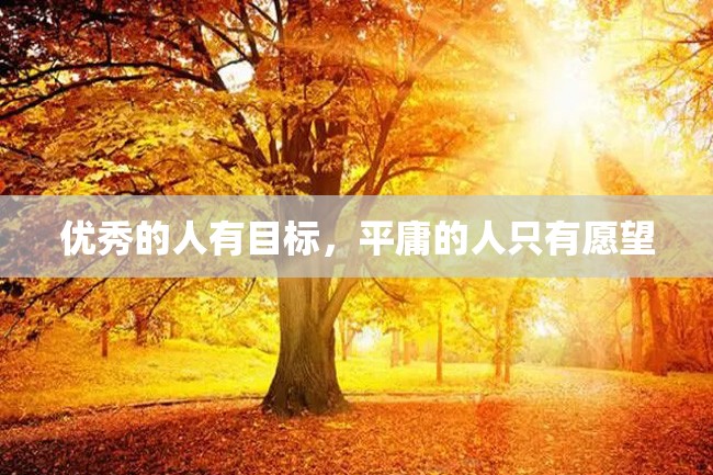 优秀的人有目标,平庸的人只有愿望
