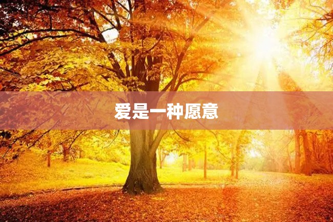 爱是一种愿意